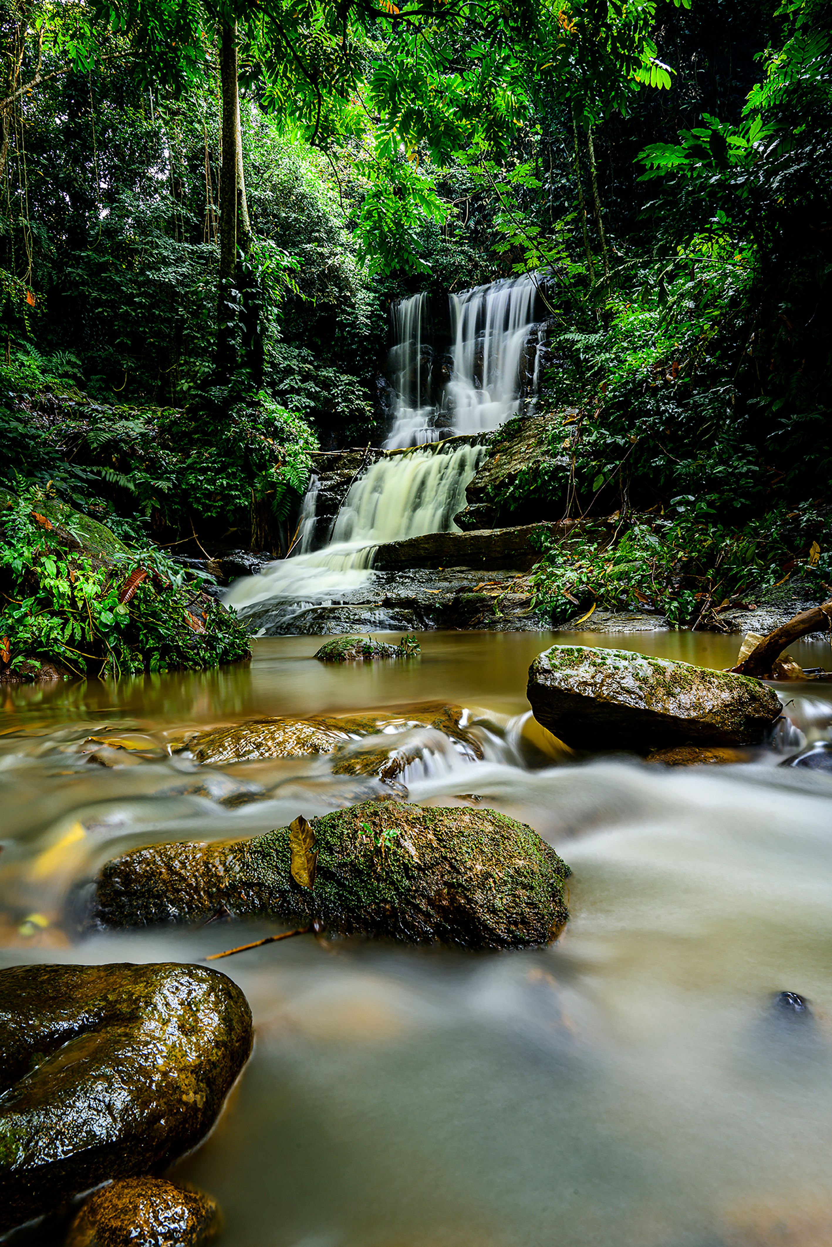 Air Terjun Yang Menakjubkan Di Hutan Rimba Indonesia · Foto Stok Gratis