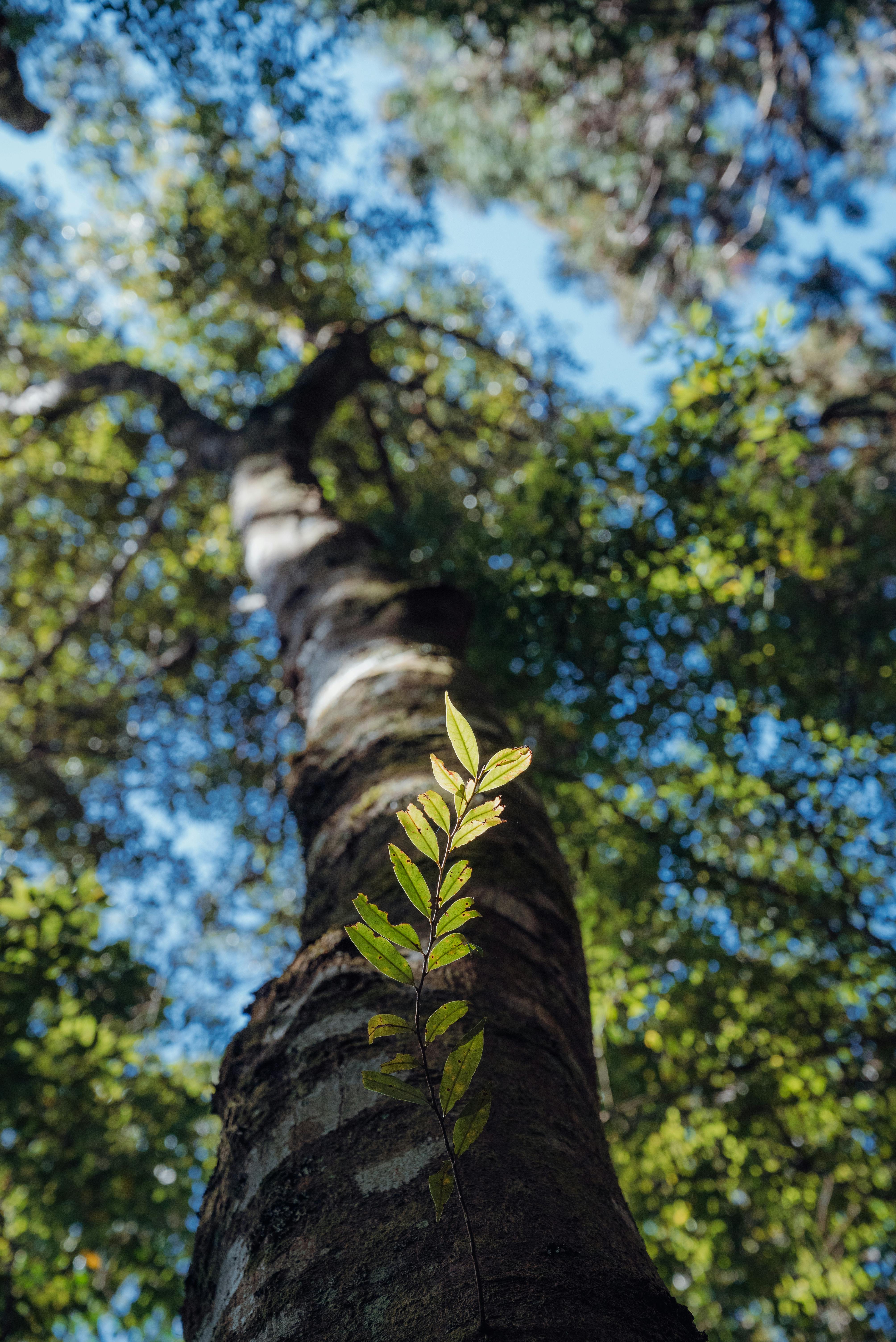 台彩絕不造假！董座親口破除三大迷思 🔍🎟️