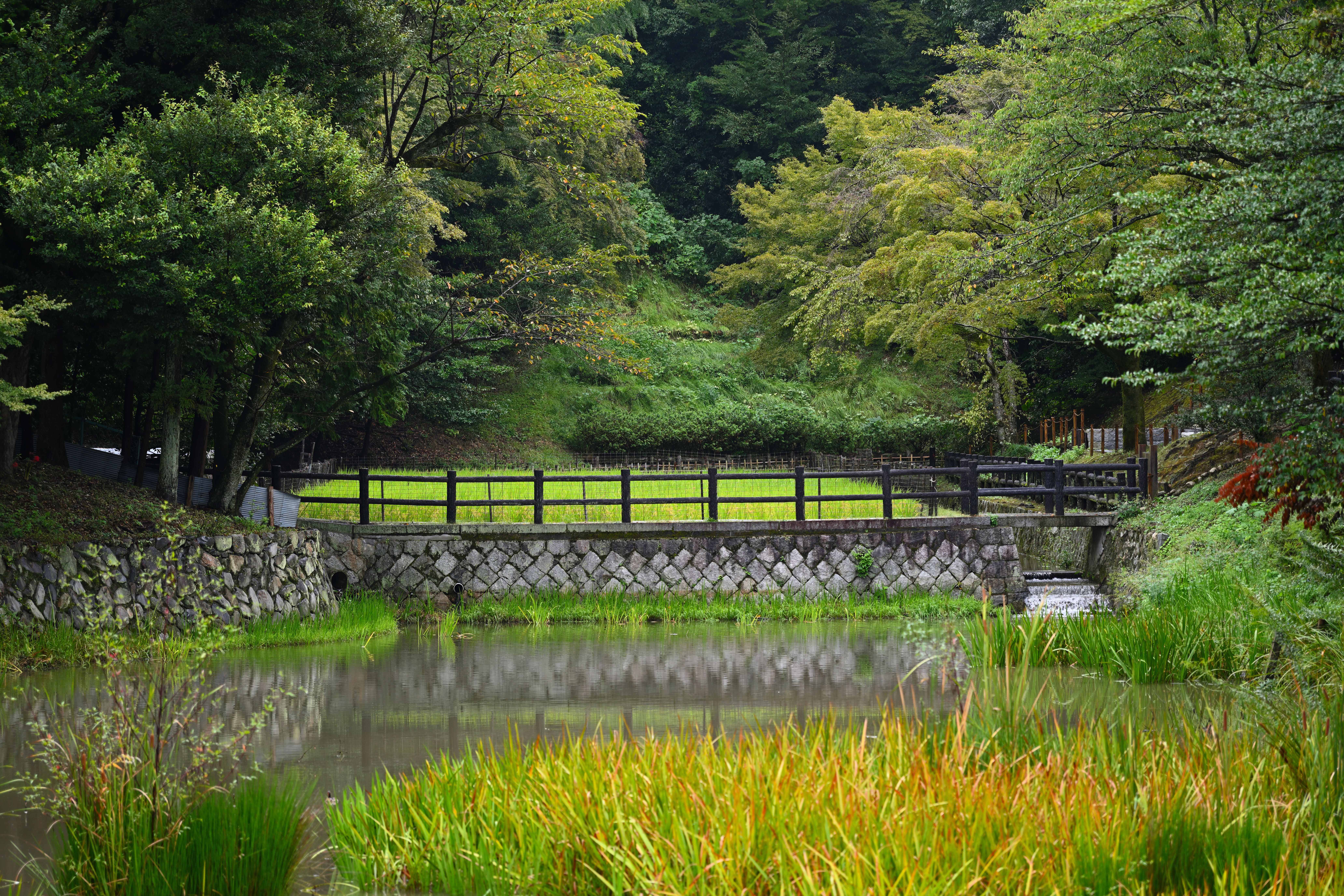 Japan Zen Retreat 2