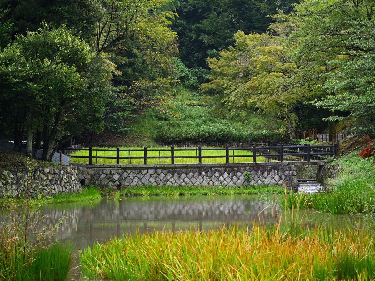 Japan Zen Retreat 2