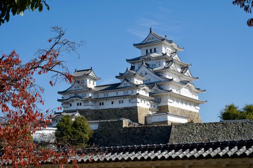 Free Himeji Castle with its traditional Japanese architecture set against a clear blue sky and autumn leaves. Stock Photo