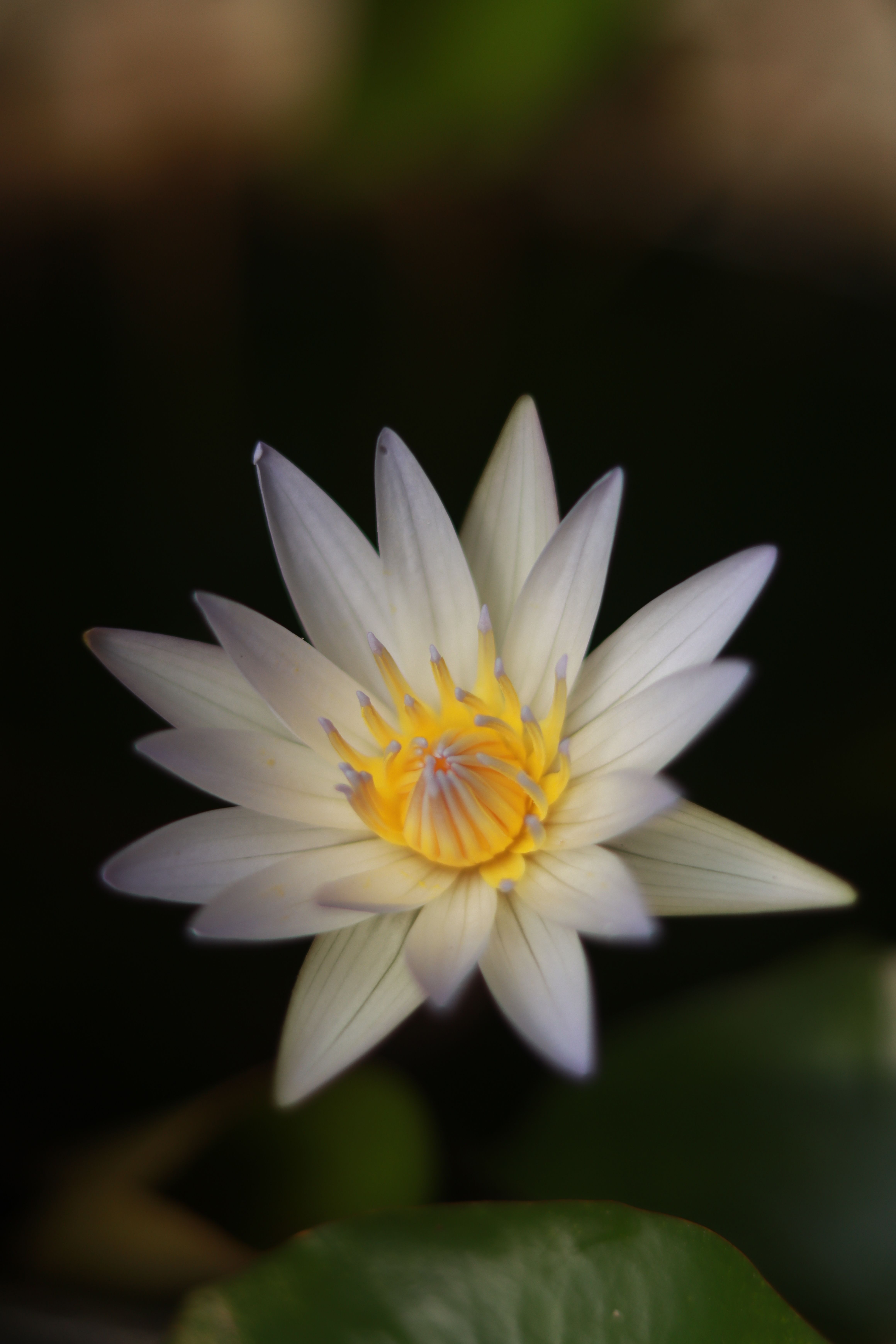 5 Zen Principles For Better Life