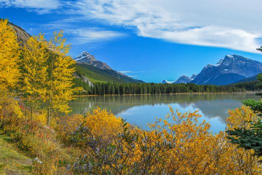 Beautiful autumn landscape at Waterfowl Lakes, Banff National Park, with golden foliage and majestic mountains.