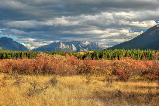 Explore the vibrant autumn foliage and majestic mountains in Banff National Park, Alberta.