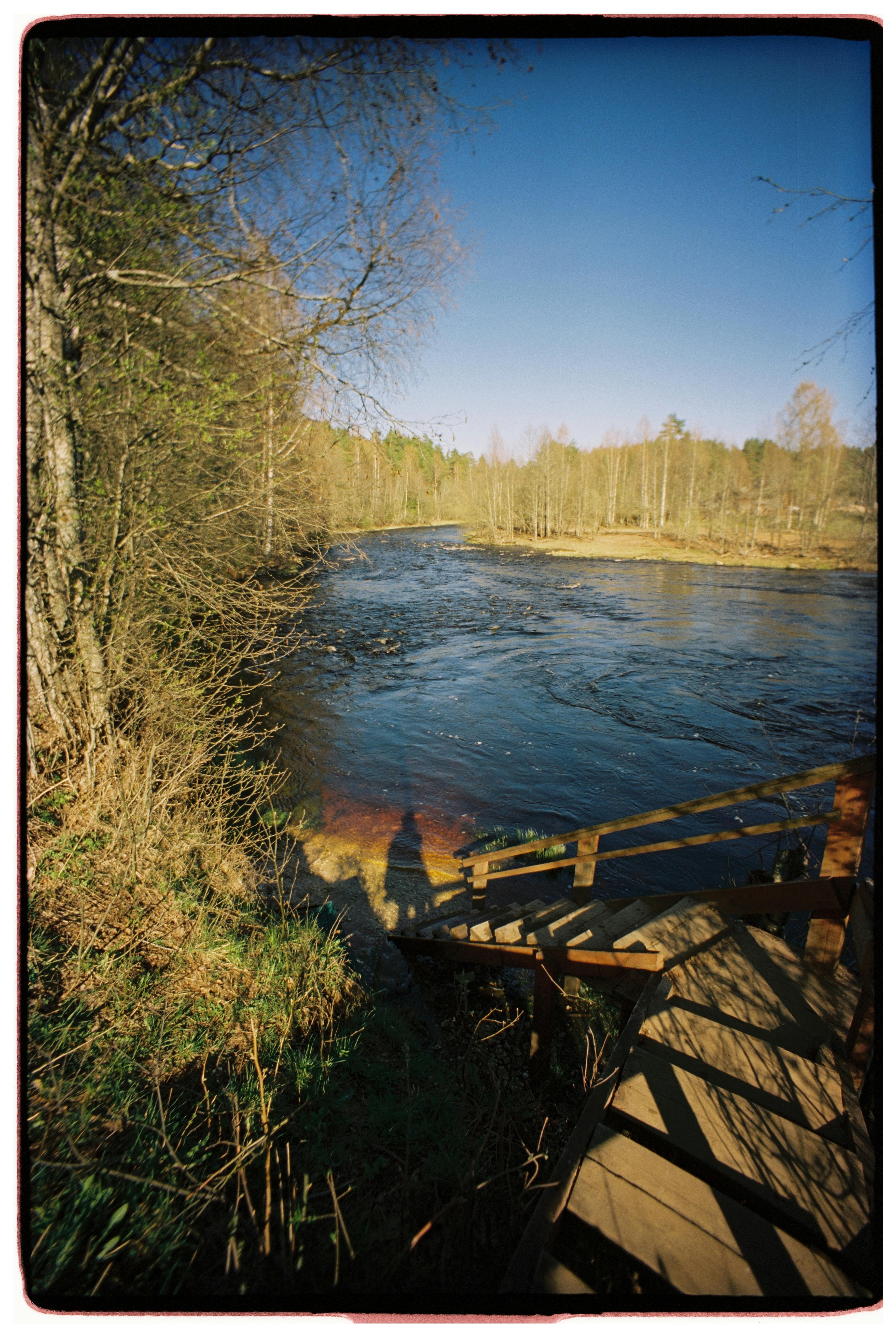 Kostenlos Eine friedliche Szene am Flussufer mit Holztreppen und üppigem Grün im frühen Frühling. Stock-Foto