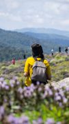 Budget Backpacking