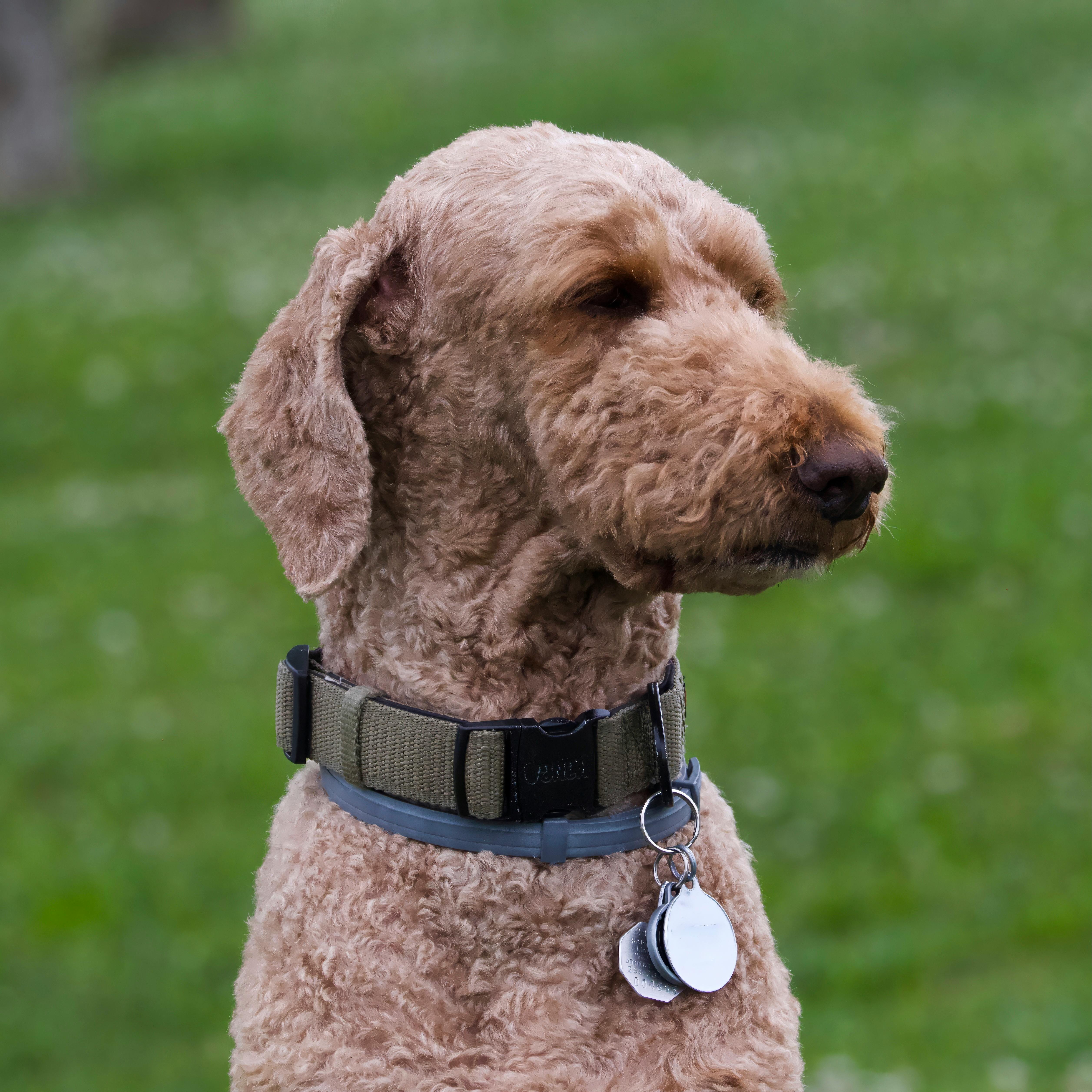 فيتاميكس 5200