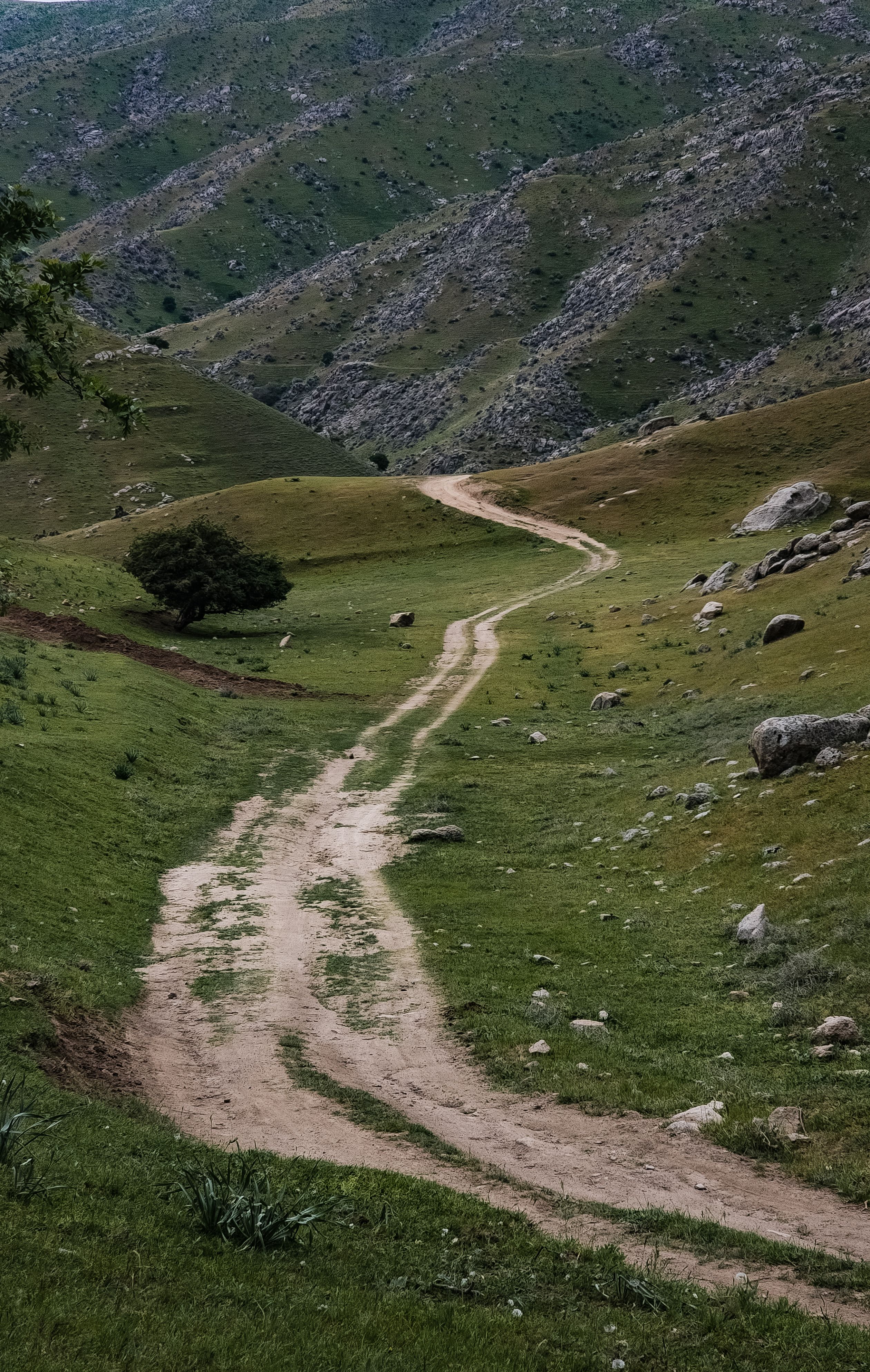 Scenic Mountain Path Winding Through Lush Valley · Free Stock Photo