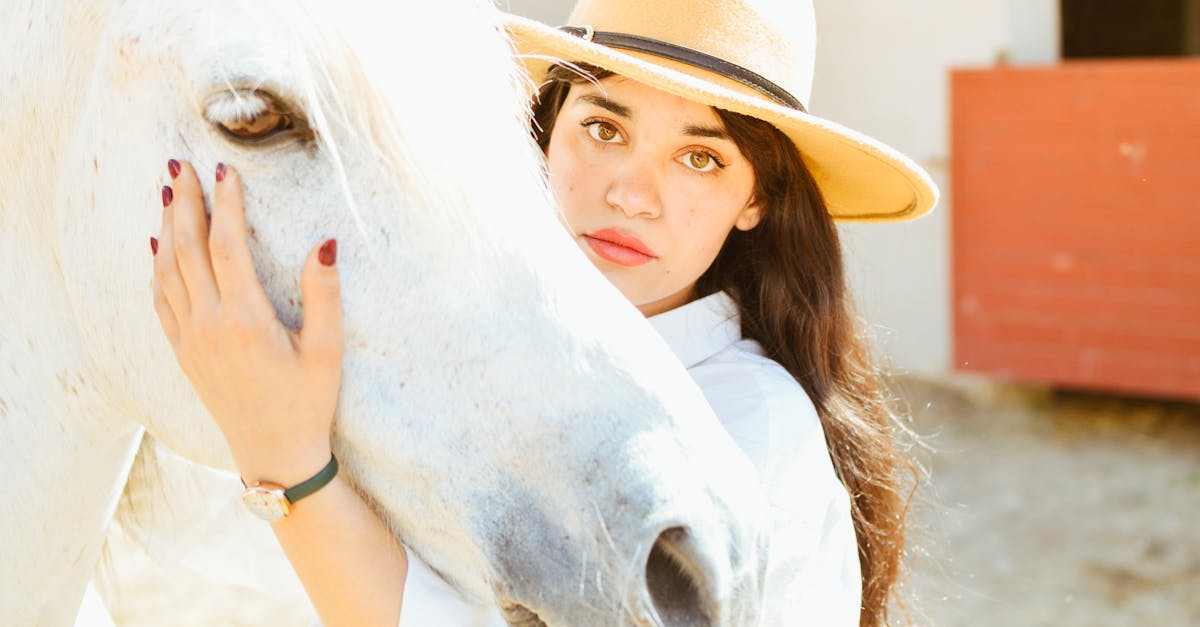 川普時代債市新機遇:策略性投資BBB級債券解析