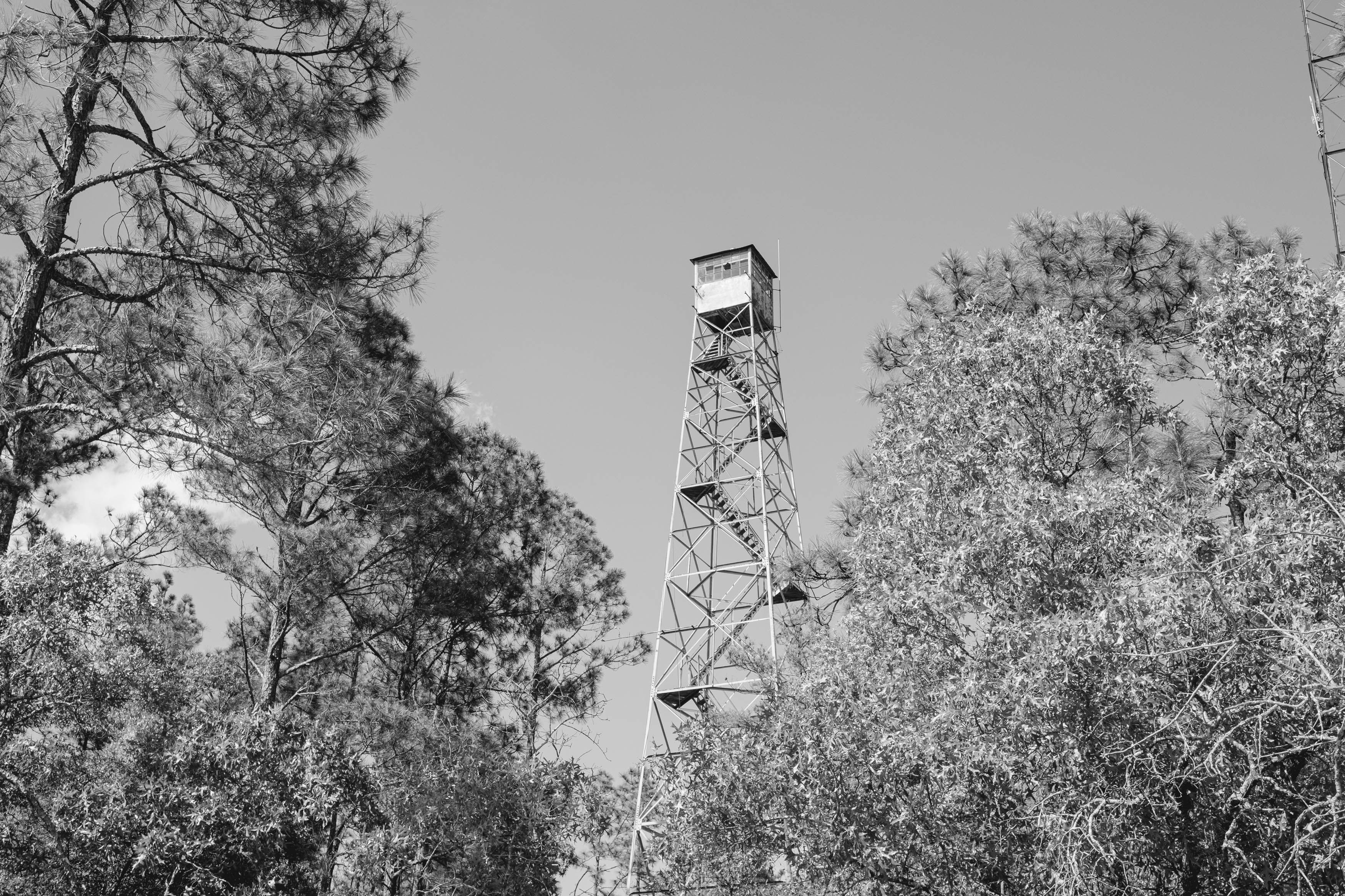 https://images.pexels.com/photos/31966461/pexels-photo-31966461.jpeg?auto=compress&cs=tinysrgb&h=650&w=940