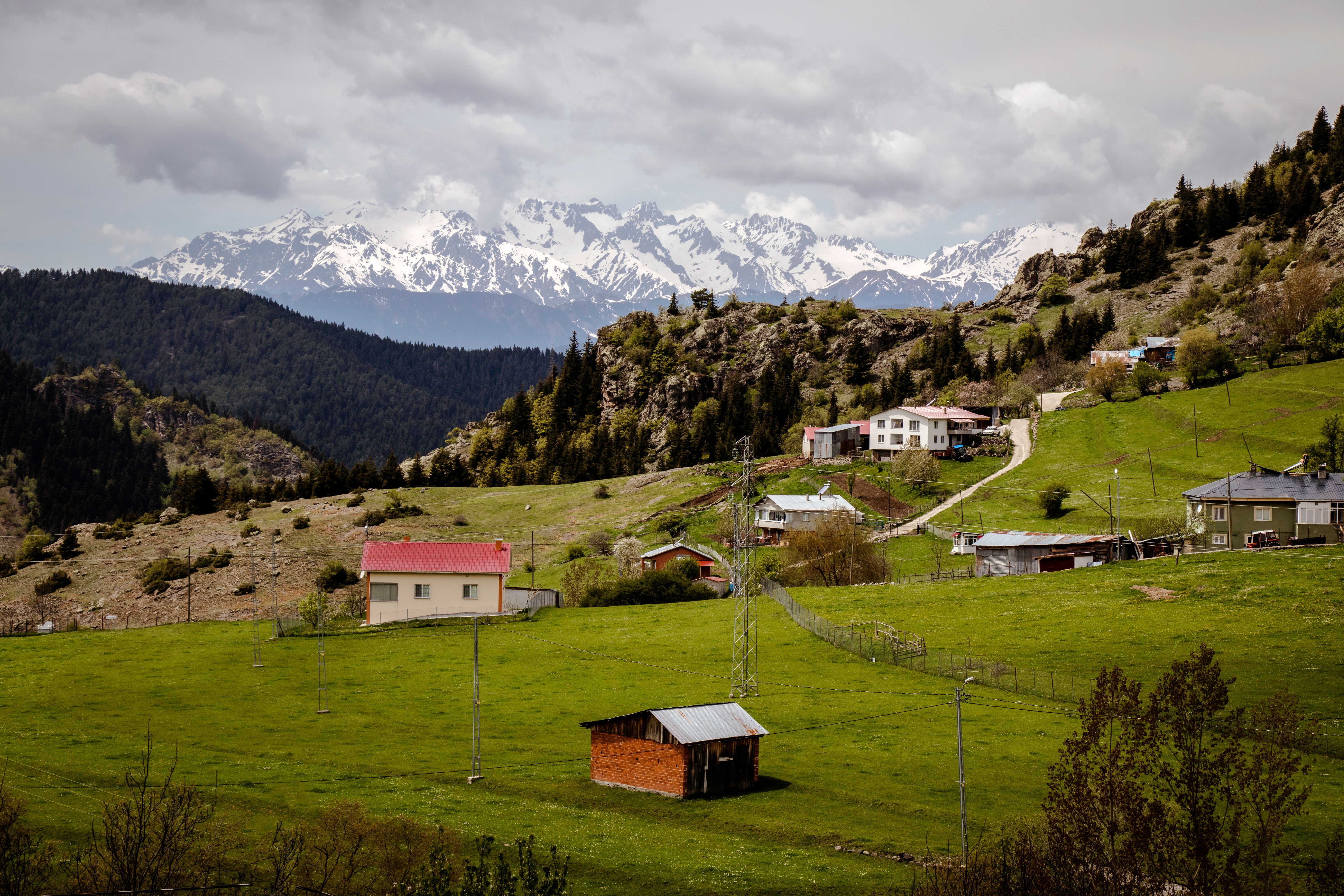 Yayla molası