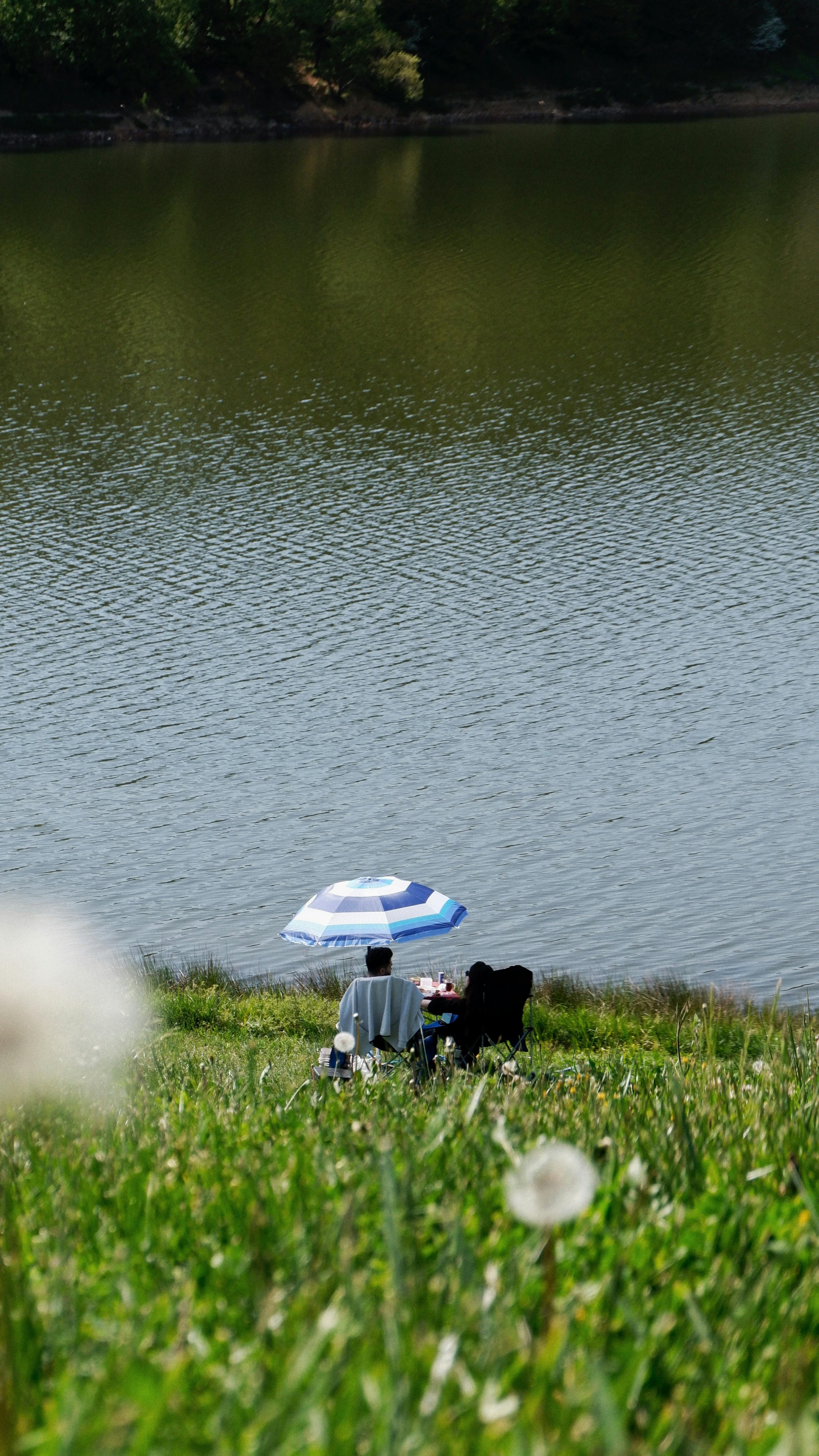 Two people relax under an umbrella by a peaceful lakeside, enjoying a sunny picnic day.