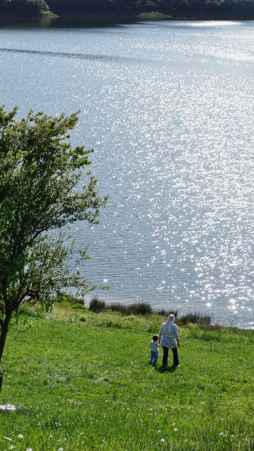 Free A tranquil family walk near a shimmering lake under a clear sky. Stock Photo