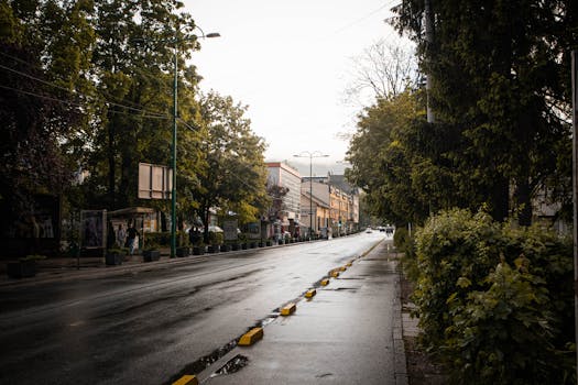 A wet street in Ilidža, Sarajevo captures rain reflections and urban life after rainfall.