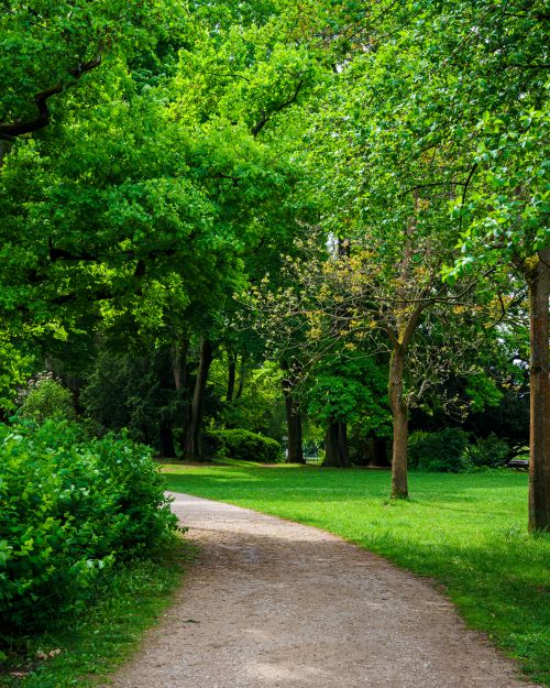 Free Explore a tranquil walkway lined with vibrant green trees and peaceful scenery. Stock Photo
