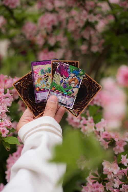 Waifu Deck Yugioh Photos, Download The BEST Free Waifu Deck Yugioh Stock Photos & HD Images Waifu Deck Yugioh Photos, Download The BEST Free Waifu Deck Yugioh Stock Photos & HD Images