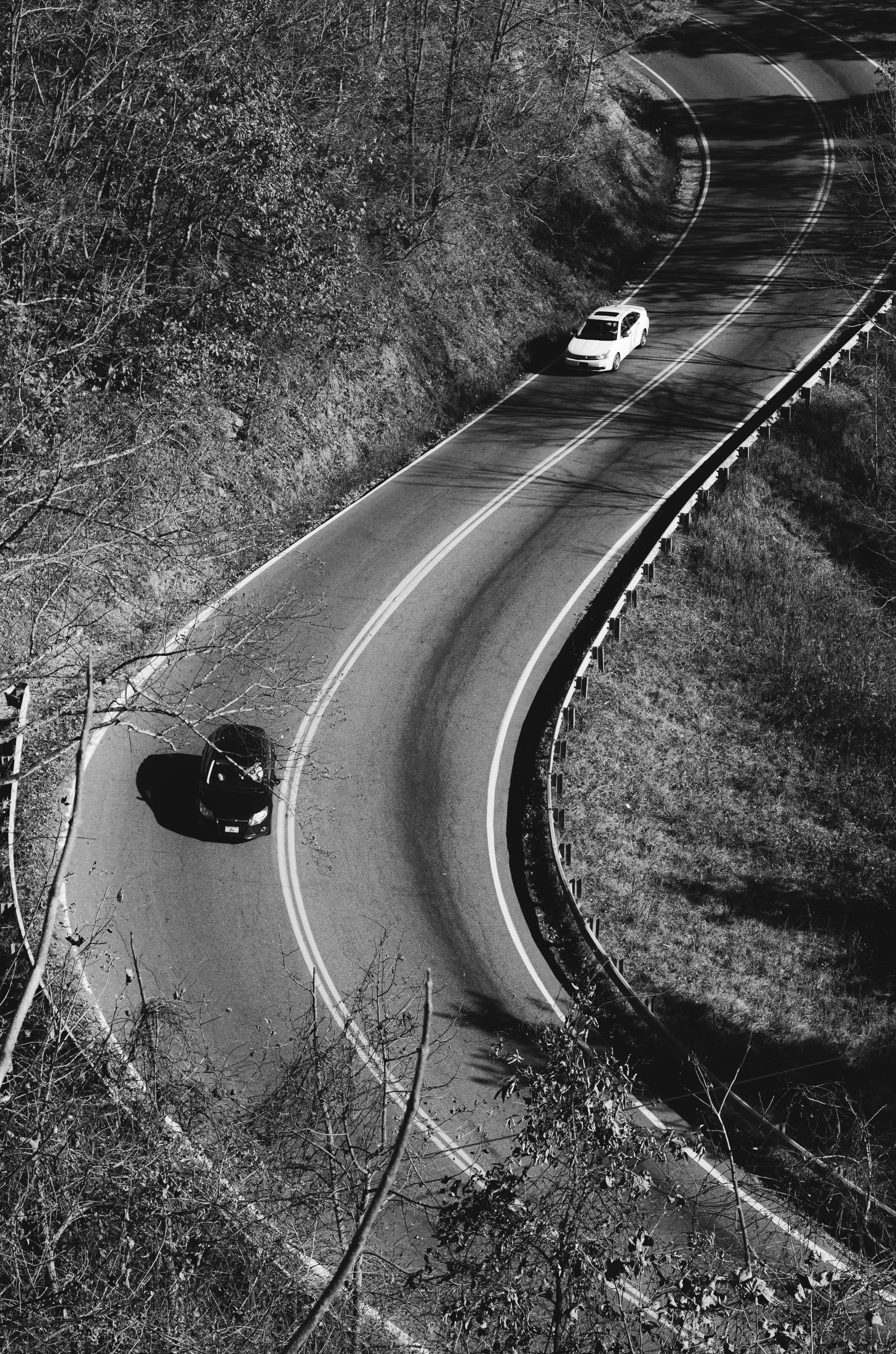 Two cars navigate a winding road through a forest in a black and white photograph.
