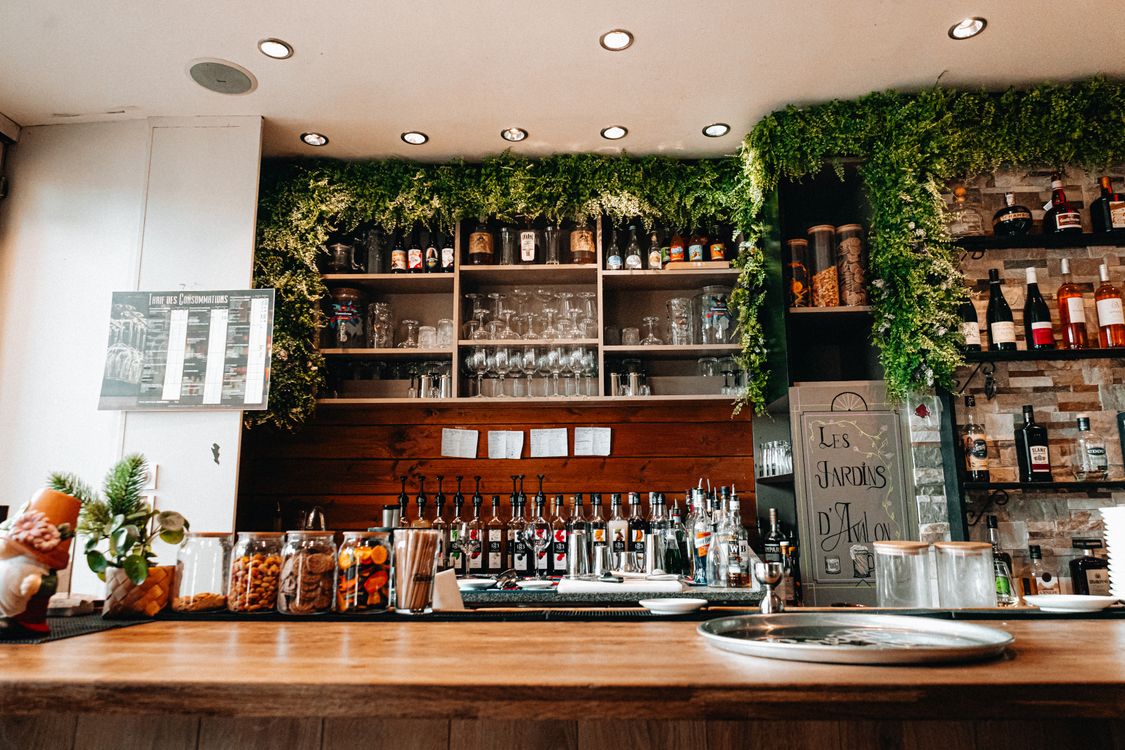 Modern Bar Interior with Lush Greenery Decor · Free Stock Photo