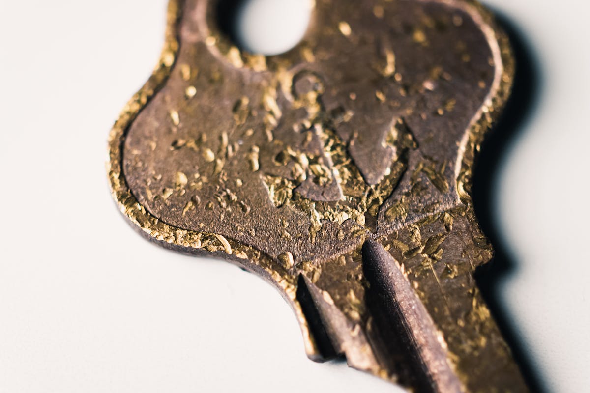 Professionele Service