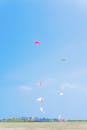Vibrant Kite Festival Against Blue Sky