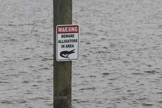 Swamp airboat with Cajun guide — New Orleans
