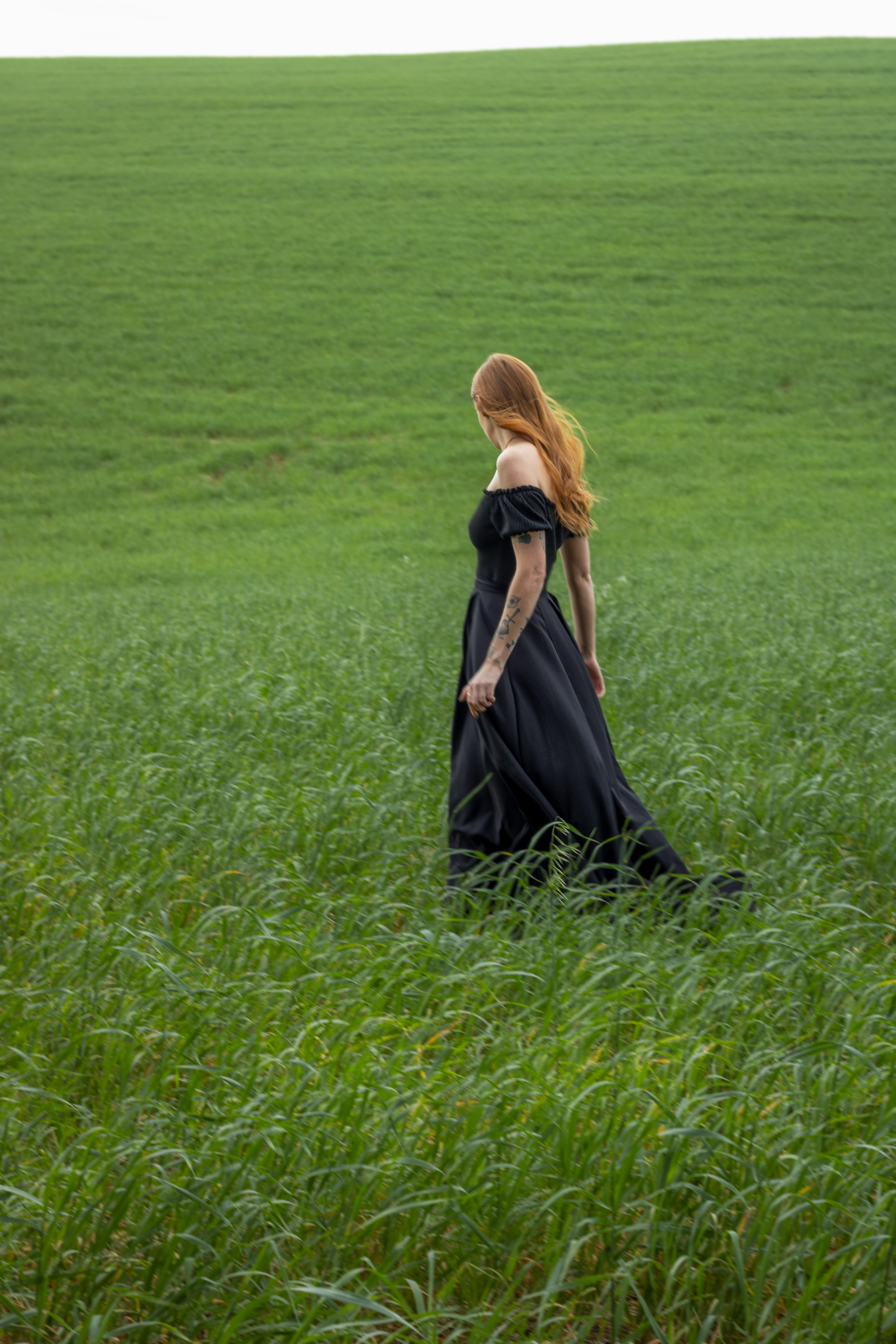 Woman in Black Dress Walking Through Green Field · Free Stock Photo