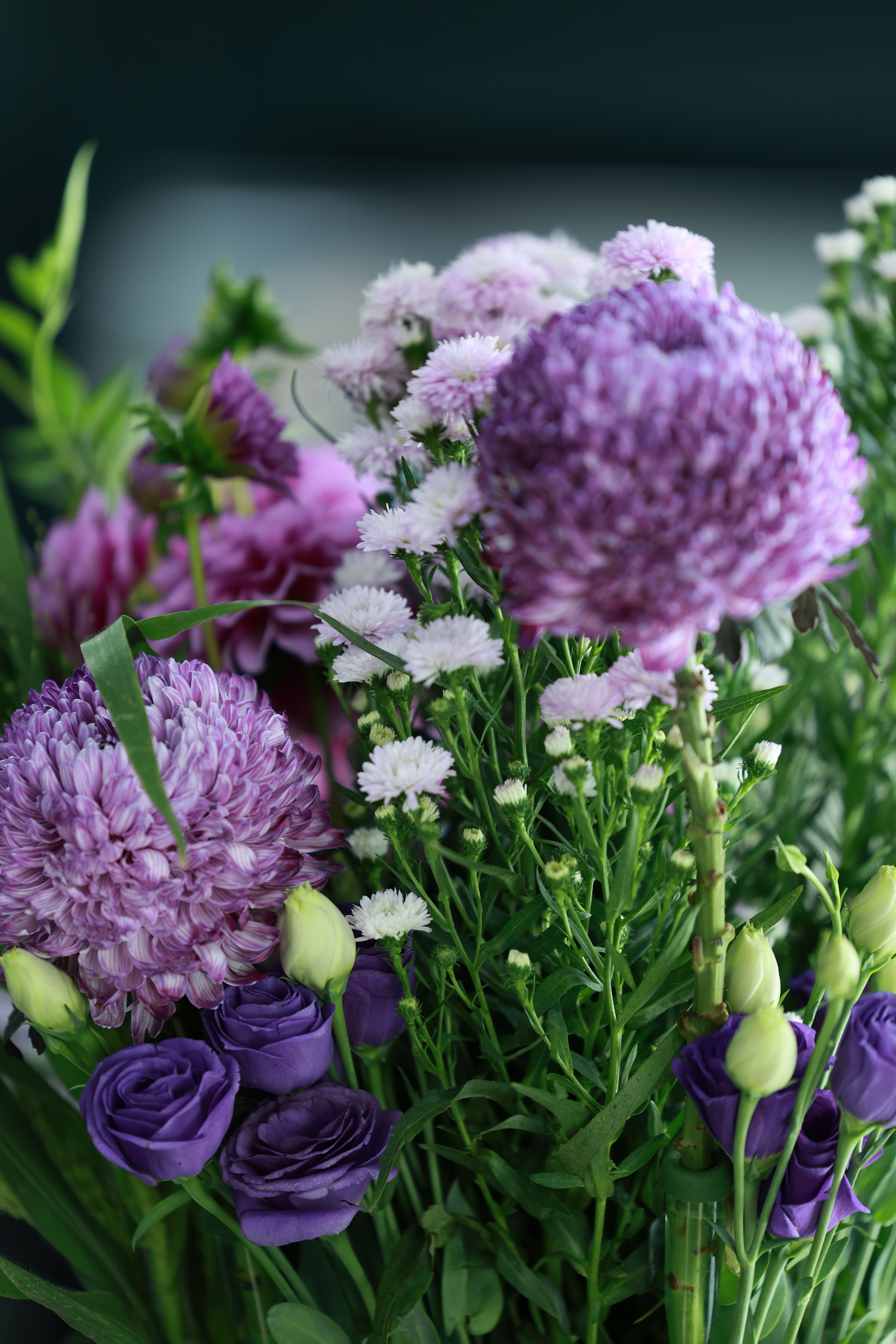 [ColoSach]-close-up-of-a-vibrant-purple-and-white-flower-bouquet-with-greenery.