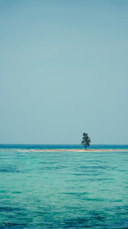Free A lone tree stands on a sandbar against a calm blue ocean near Jakarta, Indonesia. Stock Photo