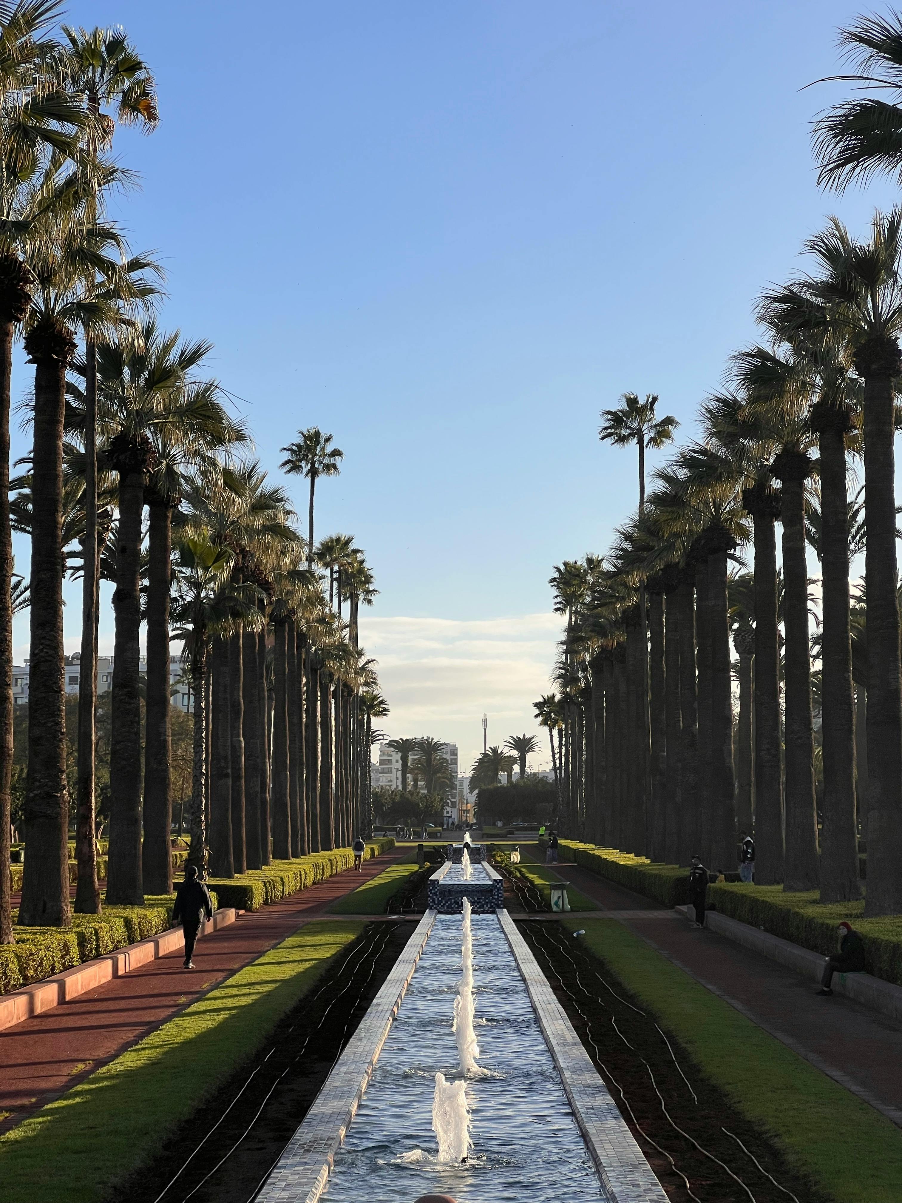 Moroccan Magic - Image 3