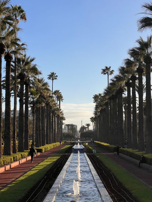 Free A serene view of palm tree-lined pathways and a central fountain in Kasablanka, Morocco. Stock Photo