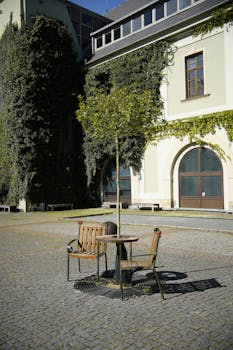 Peaceful courtyard with seating under a young tree, Olomouc, Cechia.