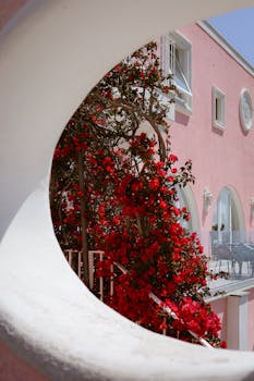 A picturesque view through an elegant arch featuring a pink building adorned with flourishing red bougainvillea.