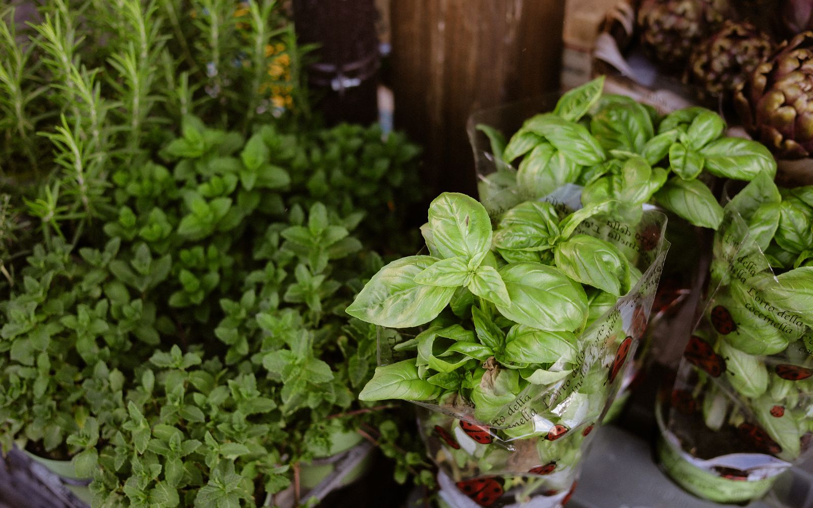 Fresh Herbs