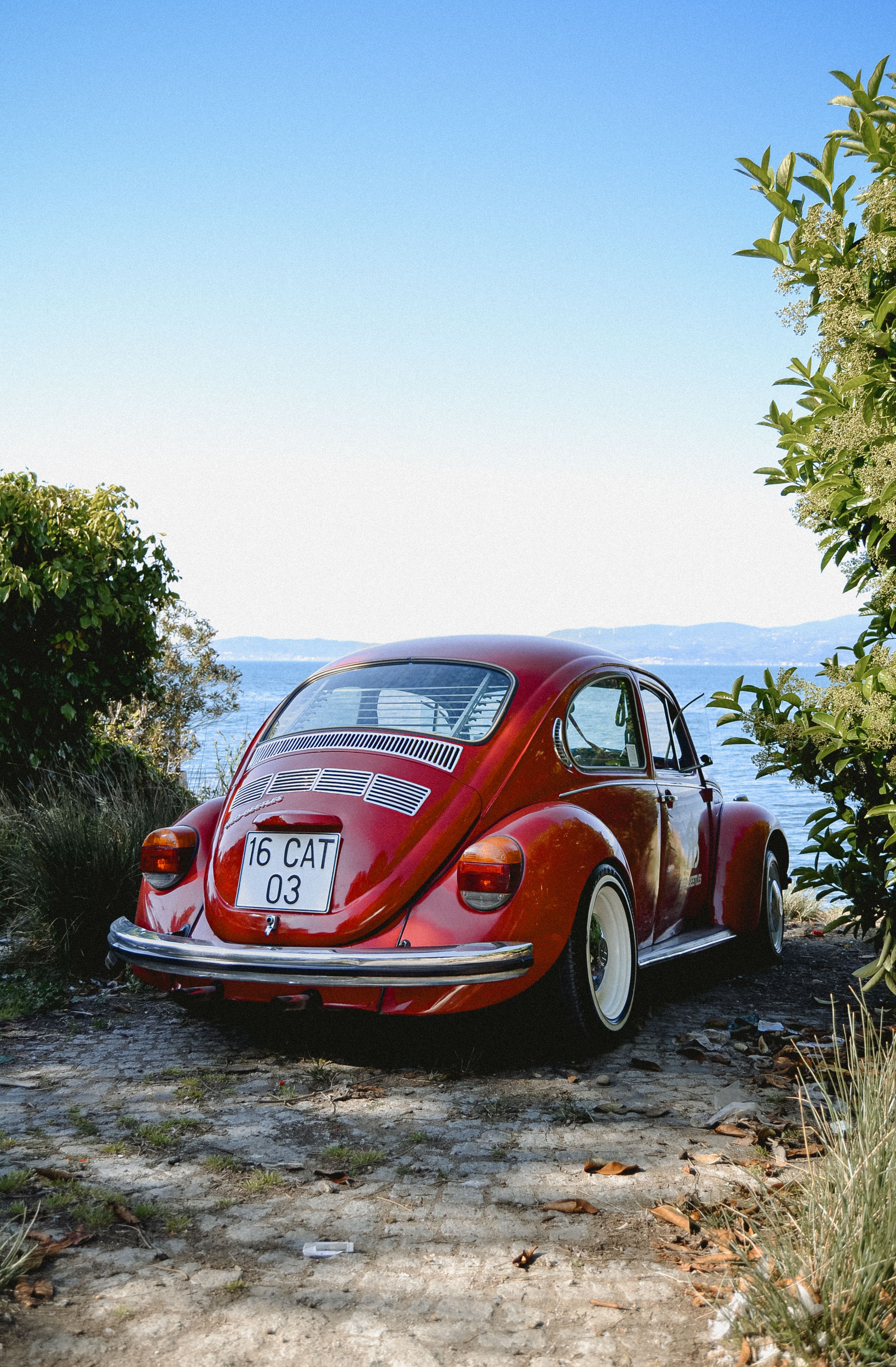 Classic Red Volkswagen Beetle by the Sea · Free Stock Photo