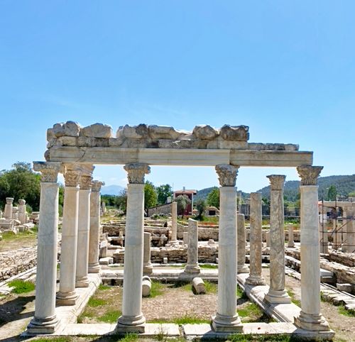 Free Stratonikeia LAtine Stock Photo