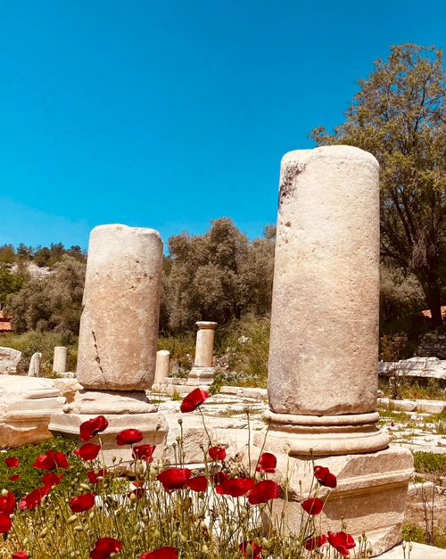 Free street of the ancient city stratonkeia Stock Photo