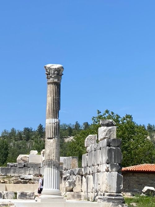Free Stratonikeia Column Stock Photo