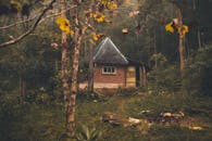 郁郁葱葱的森林中坐落着一座迷人的乡村小屋，非常适合作为自然静修之地