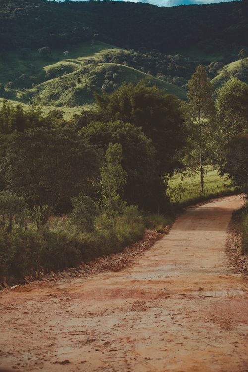Free Serene unpaved road winding through lush green countryside with hills and trees. Stock Photo