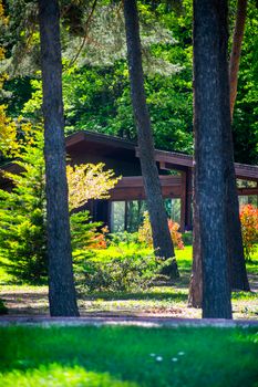Tranquil forest scene with modern architecture amidst lush greenery in T'bilisi, Georgia.