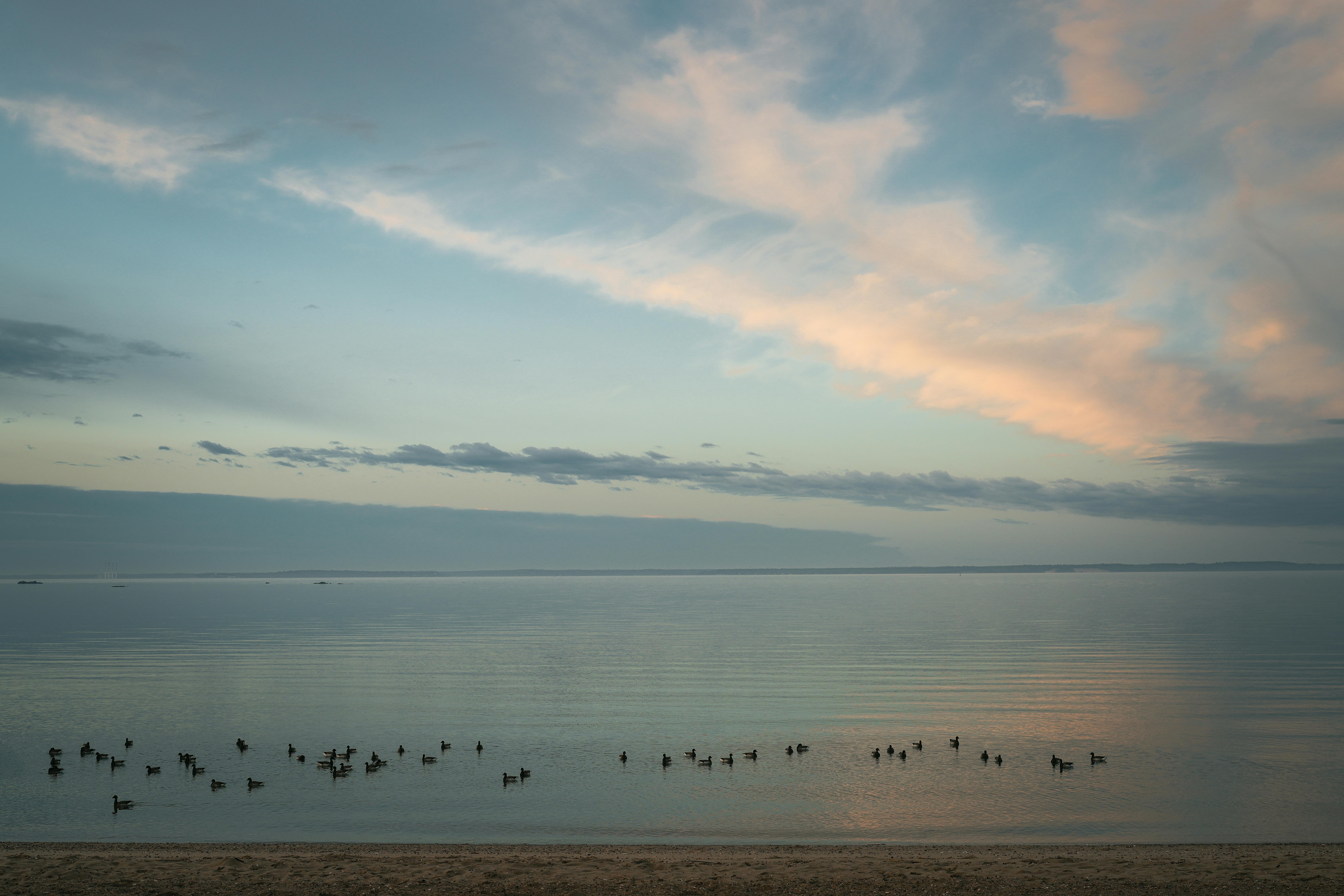 Duck Cove Beach