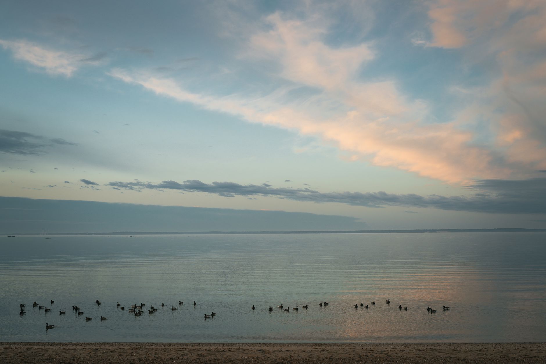 Tranquil sunrise at Cove Island Park beach in Stamford, Connecticut with ducks on calm water.