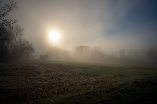 Sunrise over a misty field with trees in Weaver, Minnesota, creating a serene atmospheric scene.