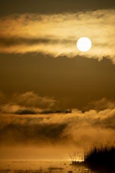 A moody sunrise scene with fog over a lake in Weaver, Minnesota, creating a dramatic atmosphere.