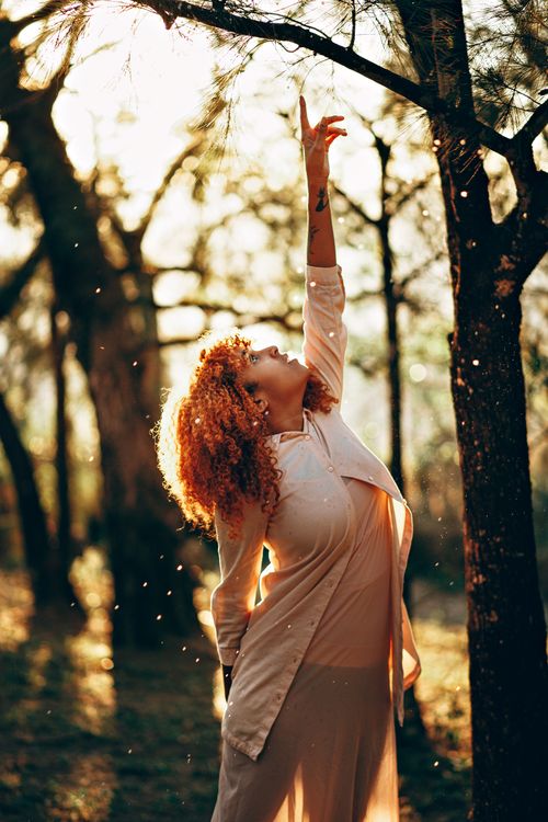 Free A young woman with curly hair poses elegantly in a sunlit forest scene. Stock Photo