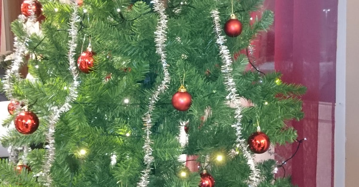 Free stock photo of christmas, christmas decorations, christmas tree