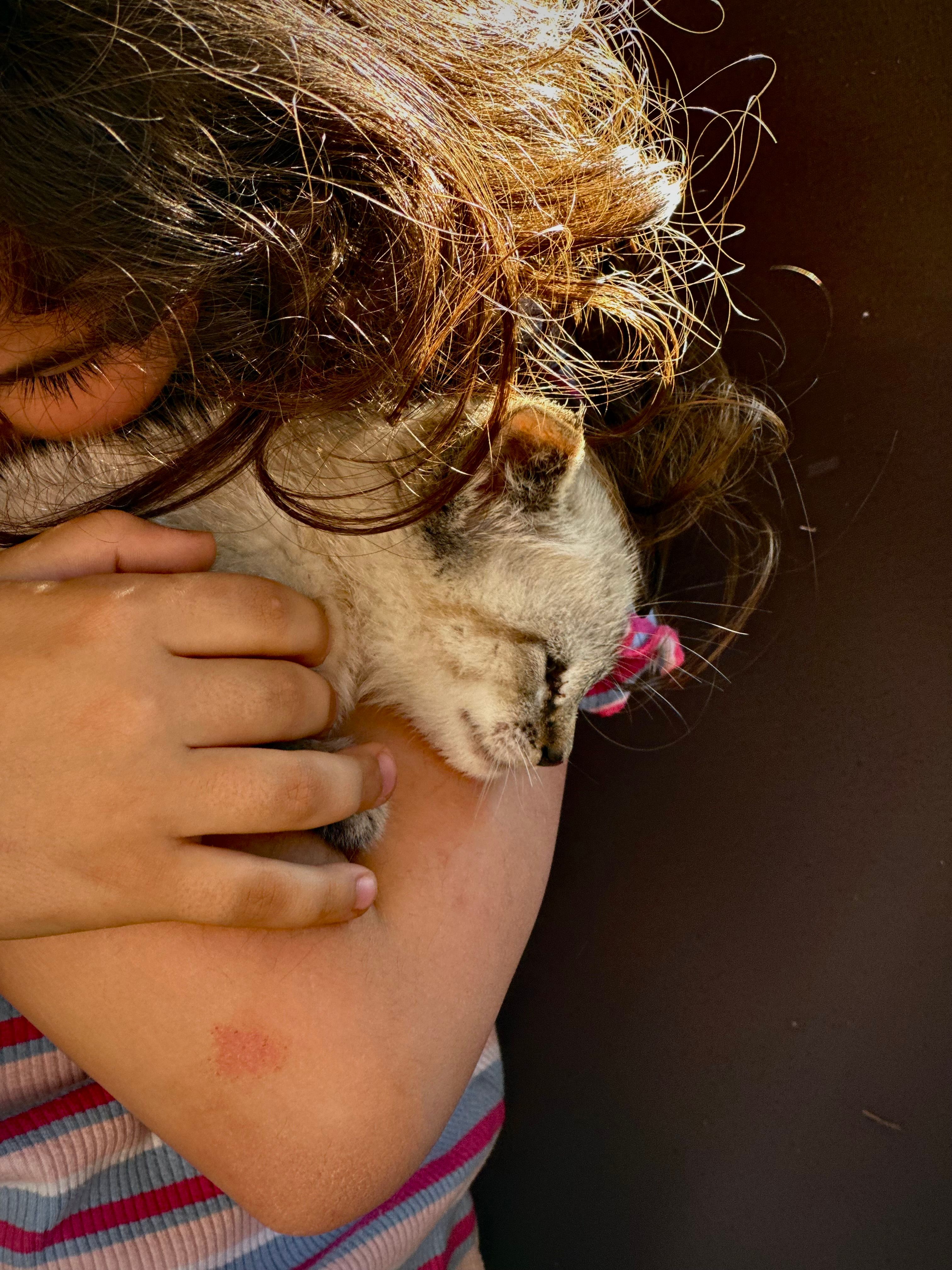 FlexiAct von Tencent ARC Lab: Fortschrittliche Technologie zur Bewegungsübertragung auf Hugging Face