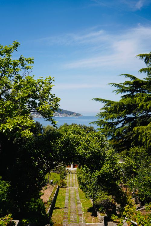 Free Lush garden with sea view, vibrant sky, and coastal landscape. Stock Photo