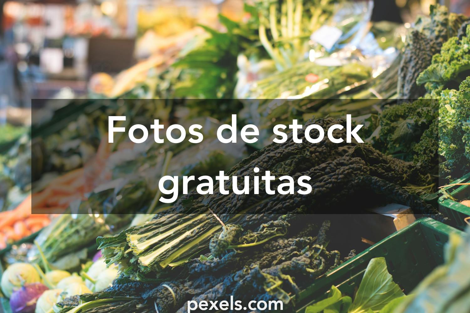 15.297+ Fotos y Imágenes de Verduras Gratis · Banco de Fotos Gratis