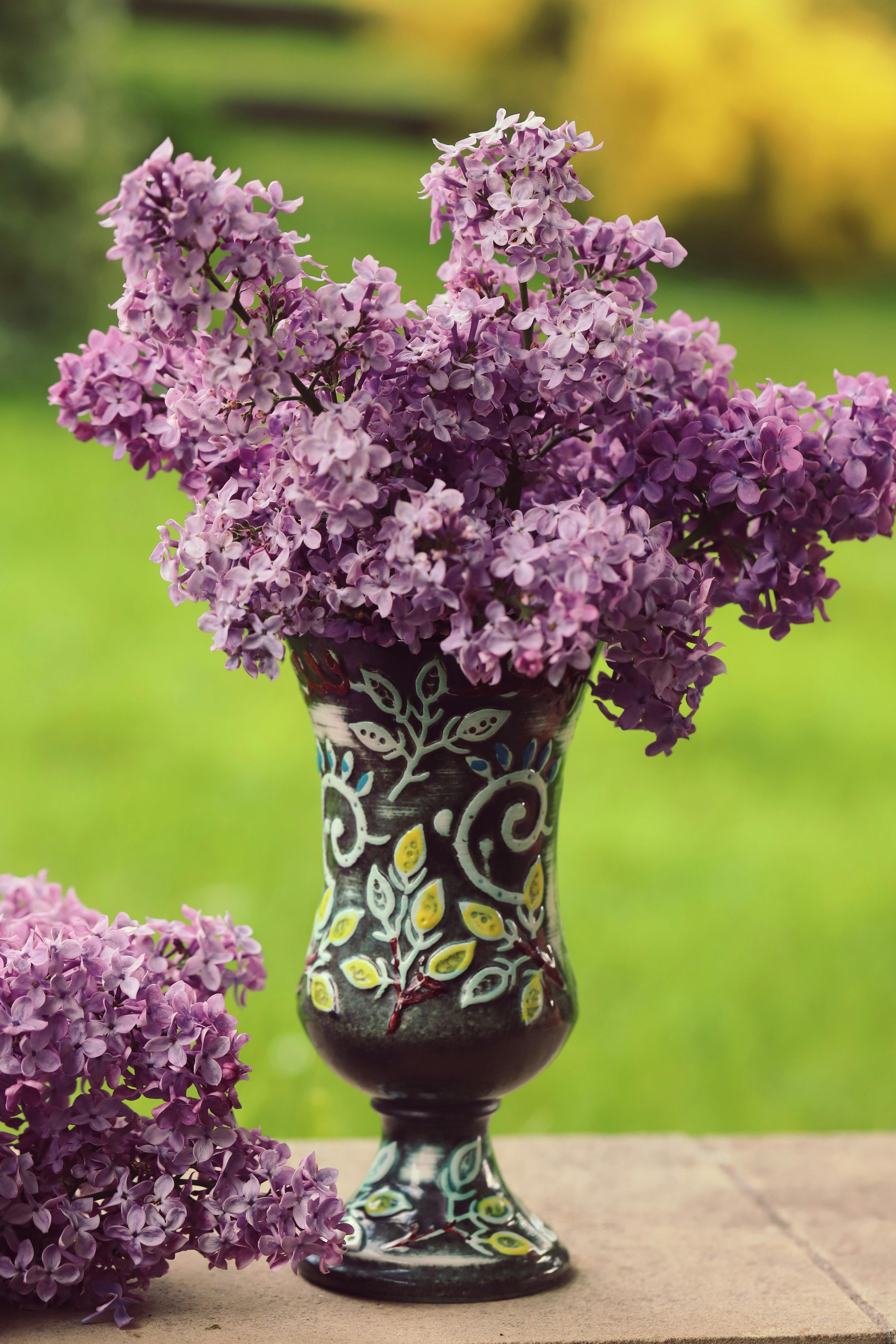 vibrant flowering shrubs near fire pit